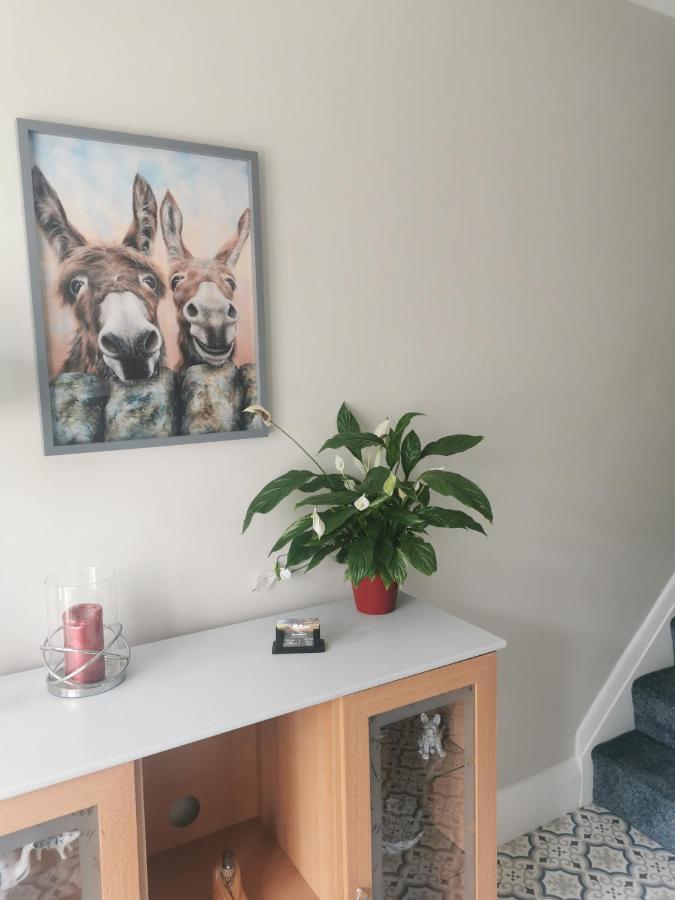 سكرابورو Rooms@No.9 المظهر الخارجي الصورة